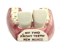vtg My Two Front Teeth porcelain S&P salt pepper dental medical new mexico tooth