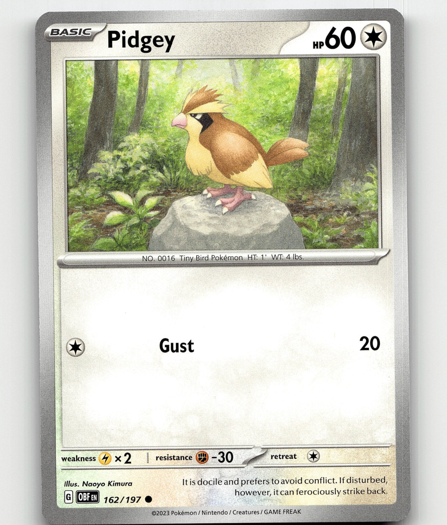 Pidgey