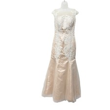 Hebeos Lace Mermaid Gown Champagne Nude Illusion Mesh Formal Dress No Size Tag
