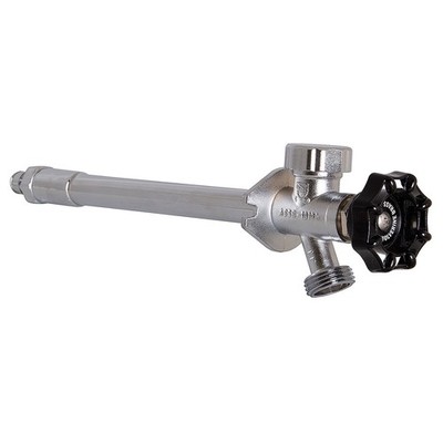 PPG 58384 for PlumbMaster Proseriesfp Sillcock 1/2 Cold Exp X 8 W/ Vac Break