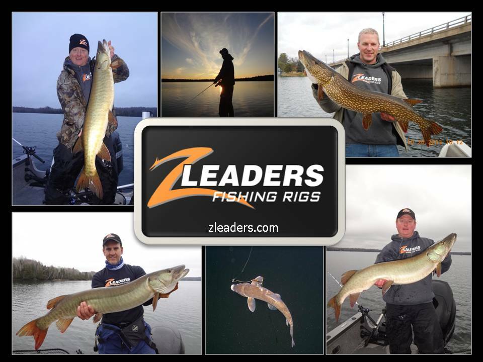 Paquete De 5 100 Libras. Escudo De Dientes De Fluorocarbono Premium De