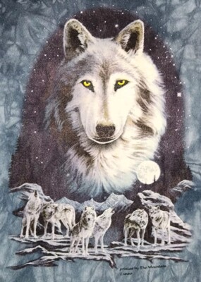 VINTAGE The Mountain Wolf Shirt Youth Extra Large Moon 90s Tie-dye Tee Boys A53