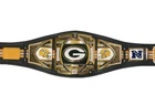 Green Bay Packers Brett Favre WWE Signed belt w/COA