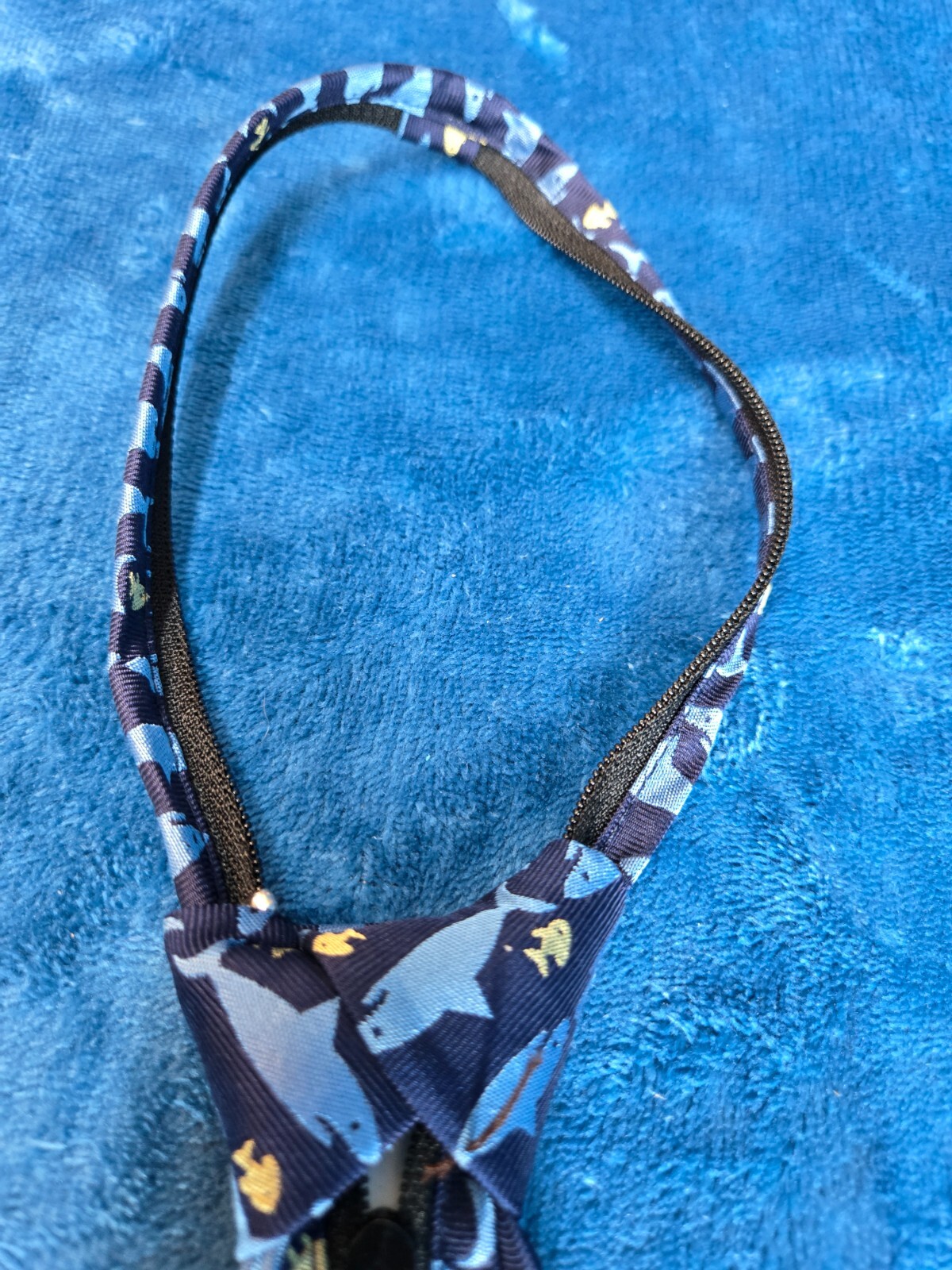 Picture 6 of 6