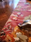 Foto 3 di 6