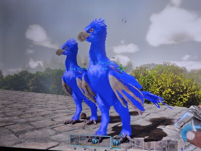 ark survival ascended pve Yi Ling Solid Blue(clones Pair)