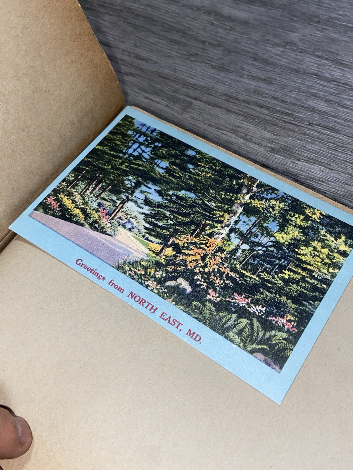 1950s Scrapbook Vintage 50’s Ephemera WW2 Memorabilia, Militaria, Destinations