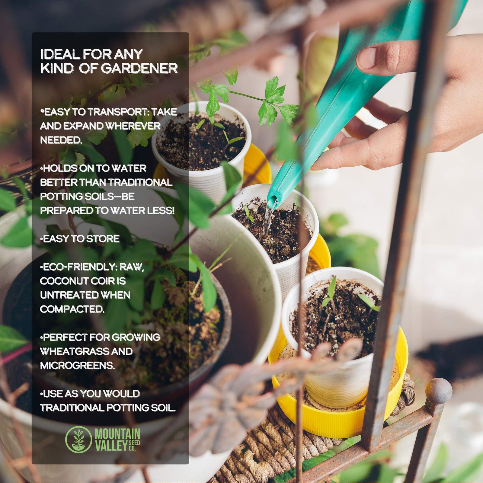 Mountain Valley Seed Minute Soil Discs 30 Count Expands Eco Friendly Grow Medium