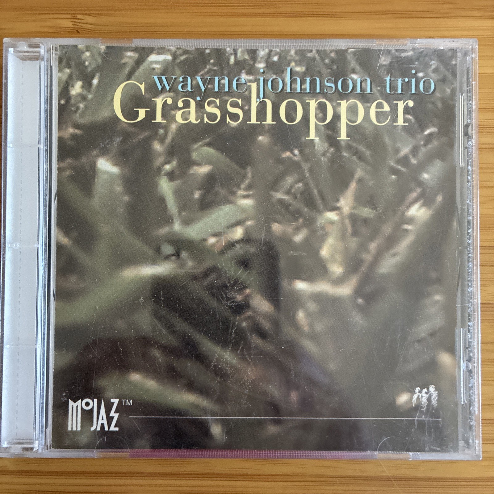 WAYNE JOHNSON - Grasshopper - 1994 CD - RARE PROMO NM Disc!