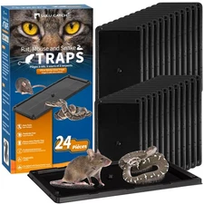 Glue Mouse Traps Indoor for Home 24 Pack, Pre-Baited Sticky Plastic Glue Boar...