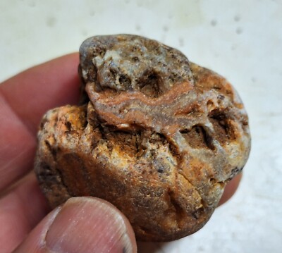 Rough Lake Superior Cold Water Agate Uncut Unpolished Seam Agate -Michigan
