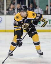 Johnny Boychuk - Bruins, 8x10 Color Photo