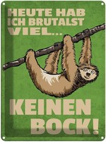 Blechschild 40X30 Cm Heute Habe Ich Brutalst Viel Spruch Zitat Deko Geschenk Met