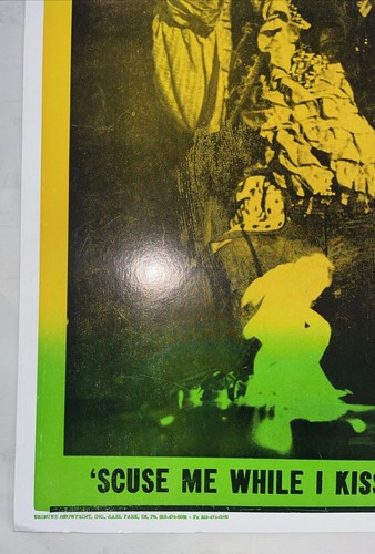 Vintage Jimi Hendrix Tribute Poster "Scuse Me While I Kiss The Sky" - Bild 4 von 8
