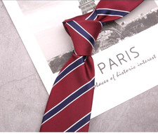 New Classic Striped Blue Red JACQUARD WOVEN 100 Silk Men's Necktie Tie