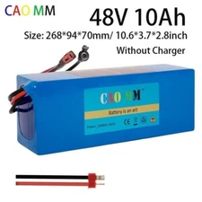 48v Lithium Lifepo4 Ebike Battery for 1000W Electric Bicycle Bike Motor 30A BMS