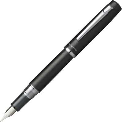 Platinum PROCYON Fountain Pen Shadow Mica Medium Nib PNS-5000#1-3