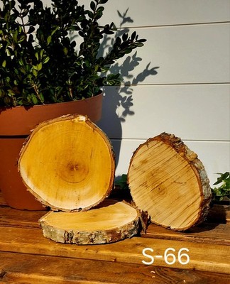Set of 3 BIRCH Cookies 6.5''x6''x1'' ea. Live Edge, Perfect For Centerpieces!