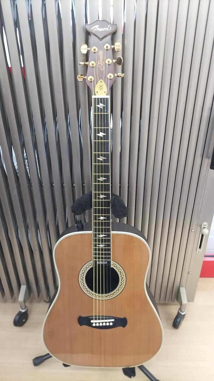 Morris トルネード SX