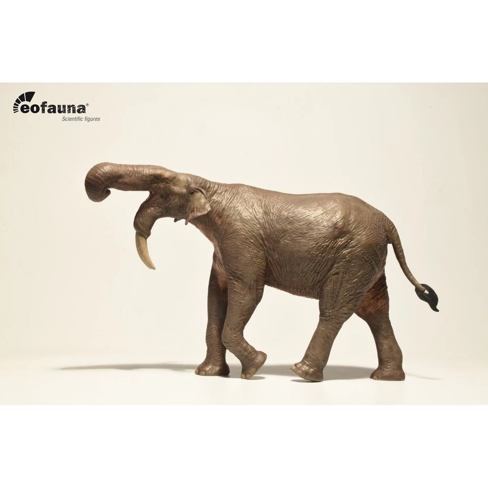 Eofauna Deinotherium giganteum model 1:35 Scale - Modello elefante preistorico - Immagine 2 di 3