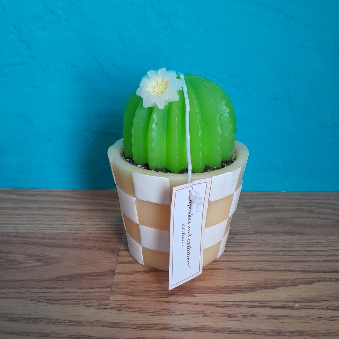 Adorable Cute Cactus Candle Cupcake and Cashmere At Home New | eBay
