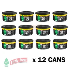 Little Trees Black Ice Car AIR Freshener Can (12 Pack) OFFICE TRUCK Winnebago