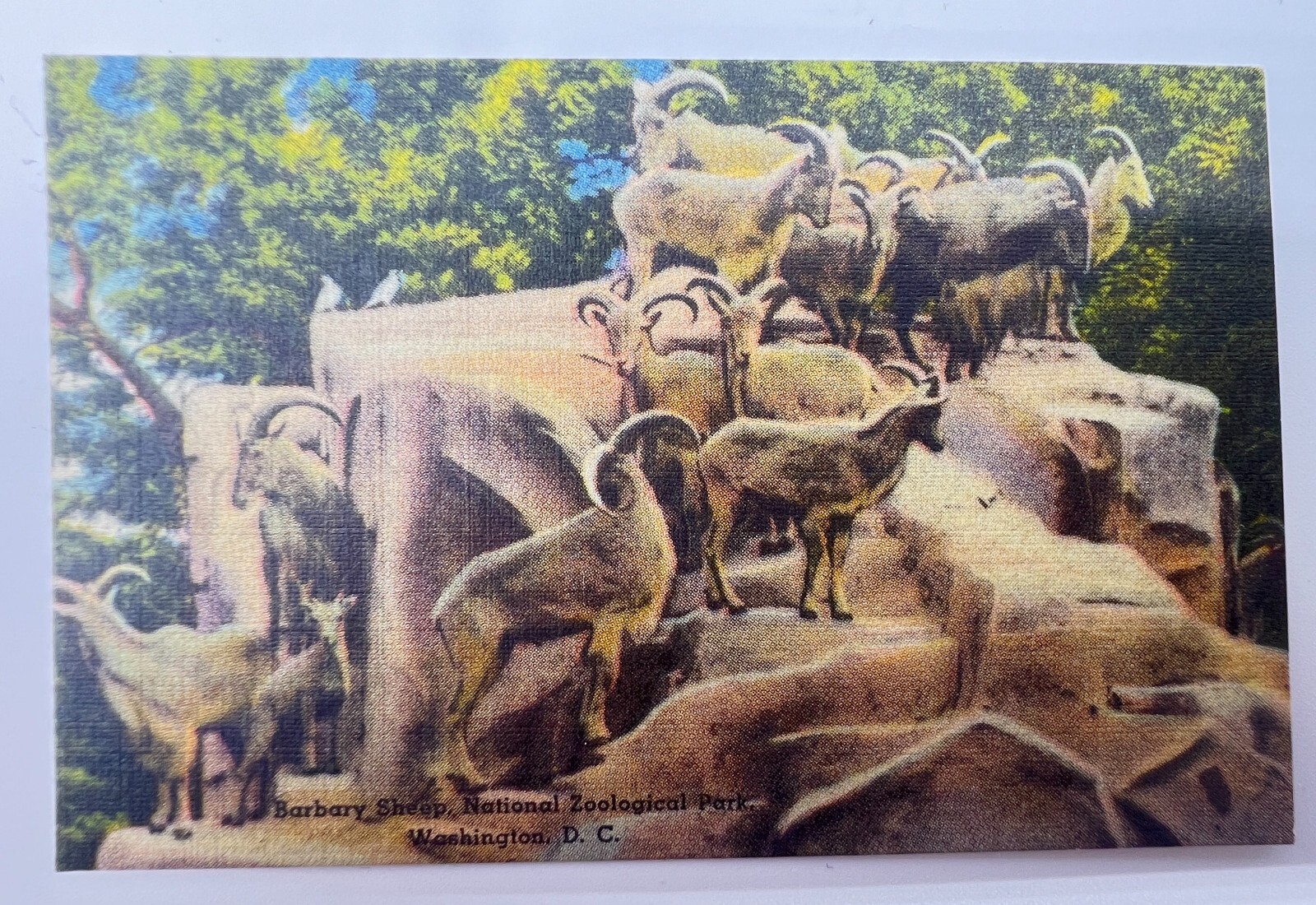 Picture 12 of 22
