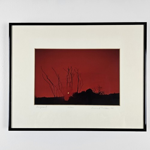 ART - Vintage Illegibly Signed Limited Edition Photograph 14.25x11.25 Framed Art