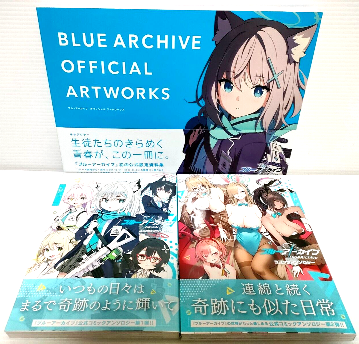 Blue Archive Official Art Works Illustration Collection Blue Archive Official Art Works Illustration Collection