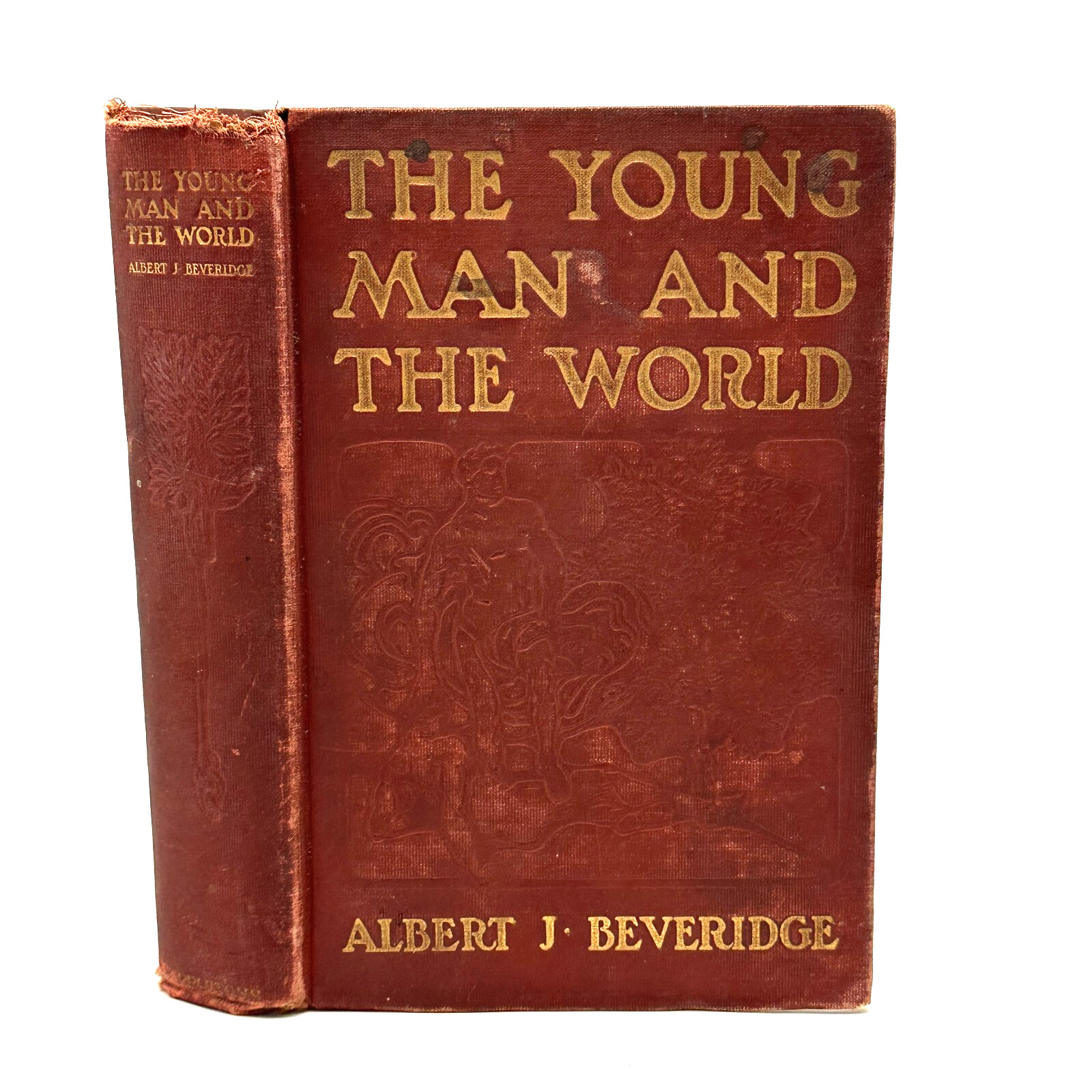 The Young Man and the World by Albert J. Beveridge (1905, Hardcover, Vintage)