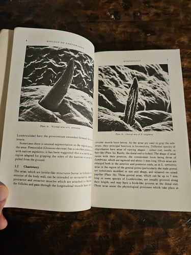 Biology Of Earthworms By C.A. Edwards And J.R. Lofty 1972 - Picture 13 of 18