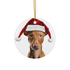 Hanging Ceramic Christmas Tree Ornament - Pharaoh Hound Puppy Design