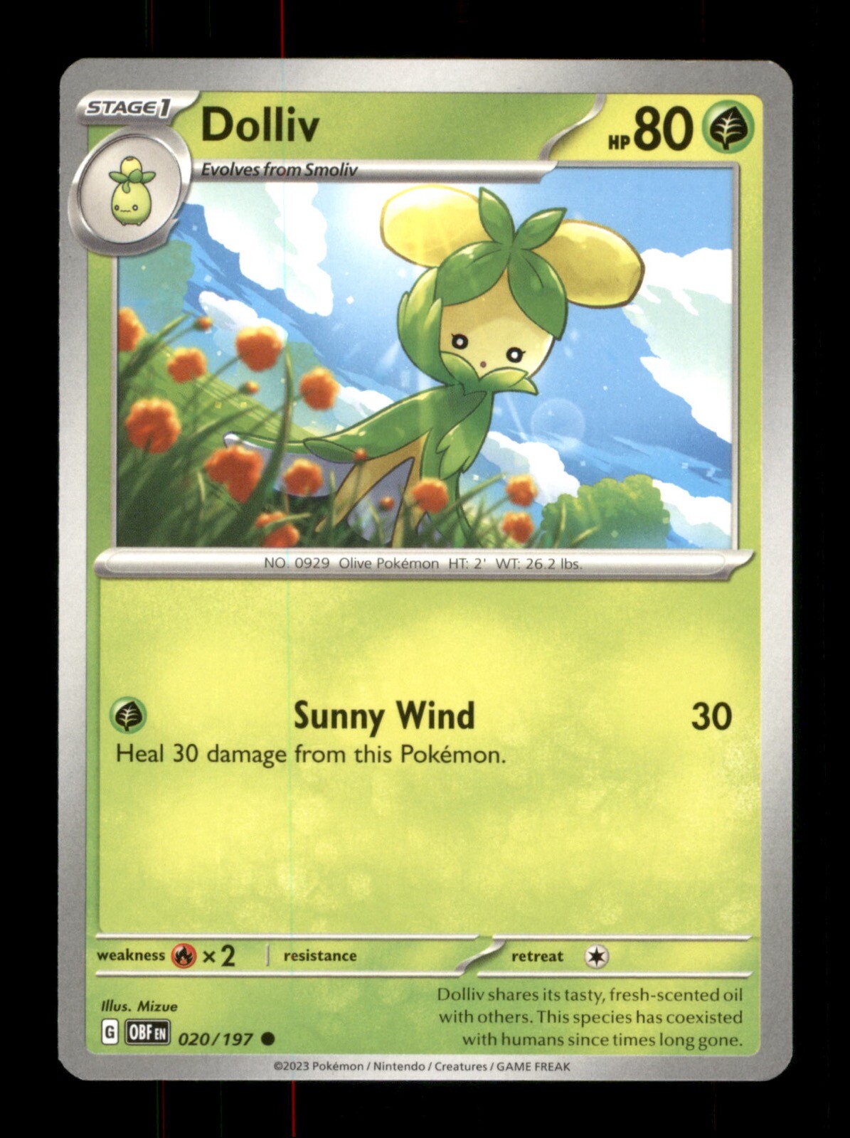 Dolliv 020/197 Regular Nintendo  Pokemon Trading Card TCG 