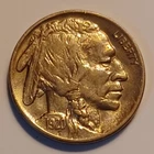 1920 buffalo nickel Au++Full Horn,with Luster.