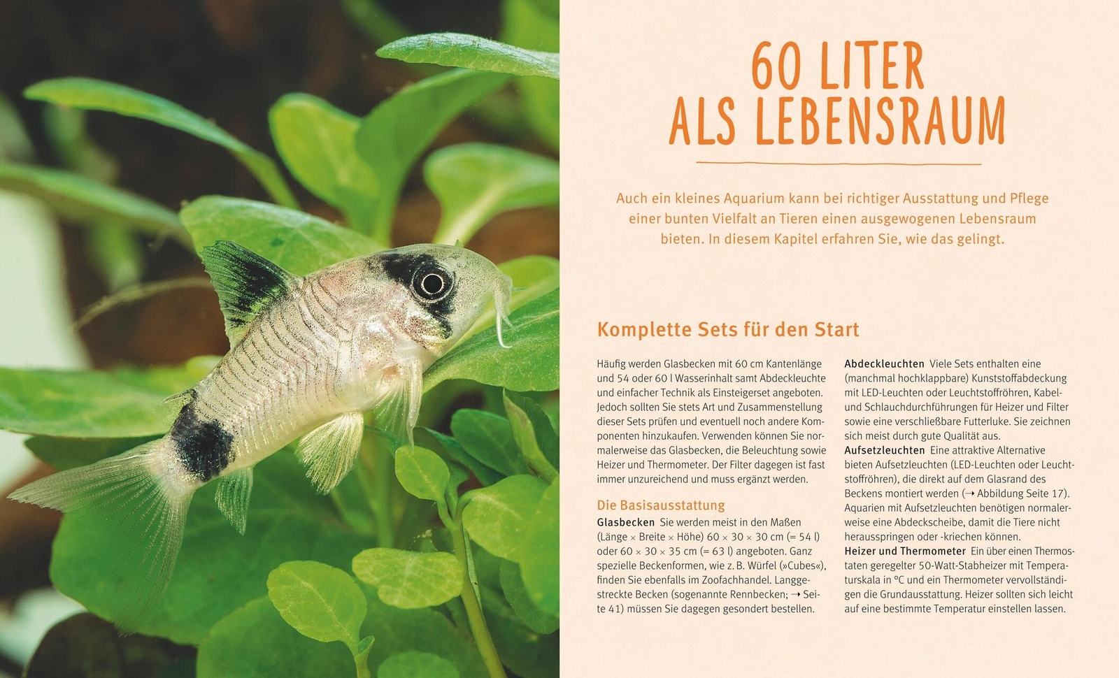 Thumbnail - Kleine Aquarien Ulrich Schliewen