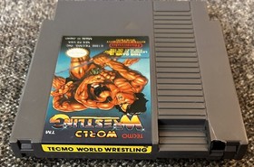 Cartucho de juego Tecmo World Wrestling (Nintendo NES, 1990) - Probado y funcionando