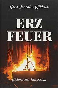 Erzfeuer: Historischer Harzkrimi von Wildner, Han... | Buch | Zustand akzeptabel