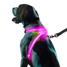 Noxgear LightHound – Revolutionary Illuminated and Reflective Harness for Dogs
