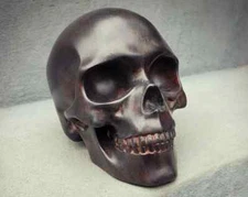 Cast Iron Skull Design, Rusted Iron Style, Resin Skull, Oddities, Gothic Decor