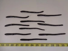 Lot of 10 Vintage Yakima Bait Charley's 5-1/2" Fishing Worm Black w Silver GS