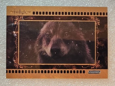 PTW-F-26 WOLF 2026 Kakawow Phantom Twilight Saga FINAL FRAMES