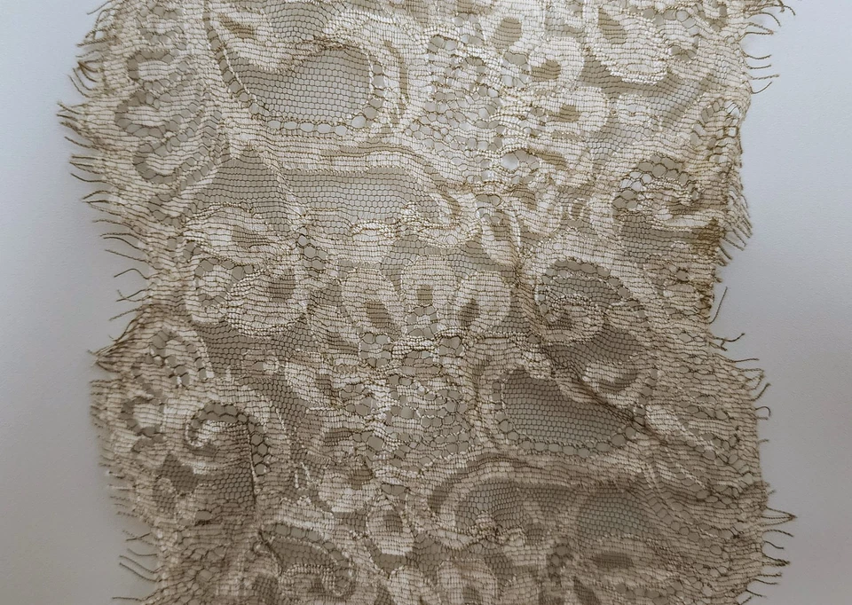 Acabamento de renda Taupe marfim couture – 1 jarda x 8 polegadas – detalhe metálico recortado - Imagem 4 de 4