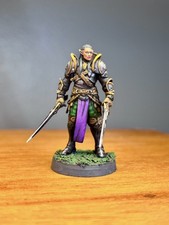 Painted Elf Fighter Duelist Warrior Miniature , Pro Painted D D DND Miniature