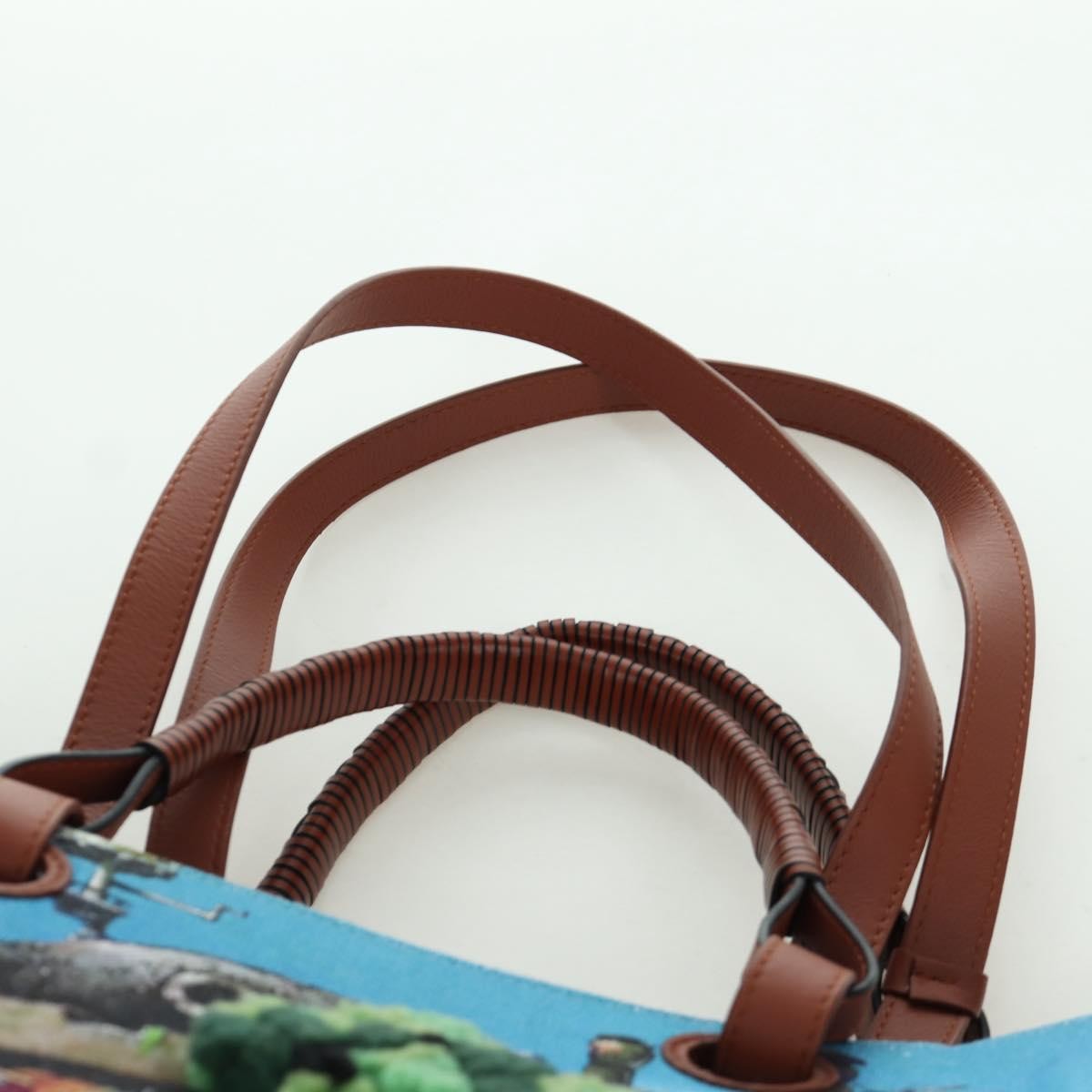 LOEWE × Studio Ghibli Howl's Moving Castle Anagram Bag Canvas Auth 166901SM image 10