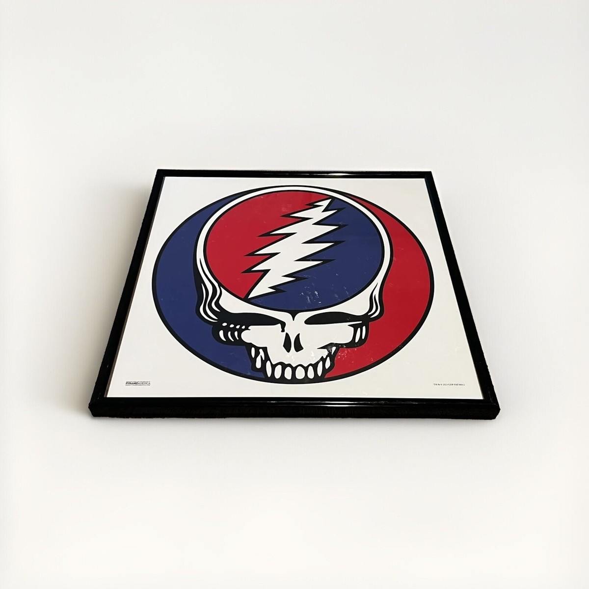 GRATEFUL DEAD Steal Your Face 70s METAL PLEXIGLASS FRAME 12” Album