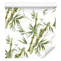 10M Vlies Tapete Wohnzimmer Pflanzen Bambusse BläTter Exotisch Natur Xxl 3896