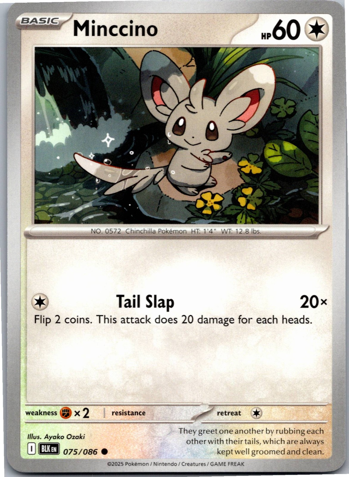 Minccino - SV: Black Bolt 075/086 - Common - NM Pokémon TCG