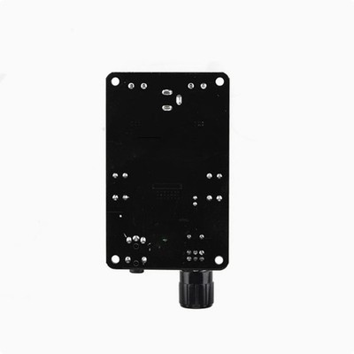 F��r Passive Lautsprecher TPA3118D2 Platine f��r Heim Audio Digital