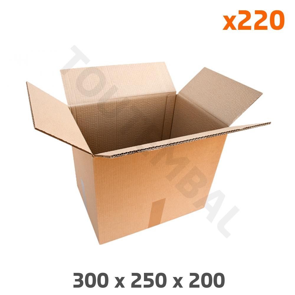 Carton double cannelure ultra résistant 300x250x200 antichoc x220
