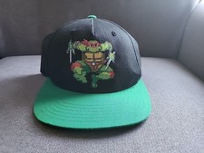 Teenage Mutant Ninja Turtles Raphael 3D Skater Hat Kids TMNT   